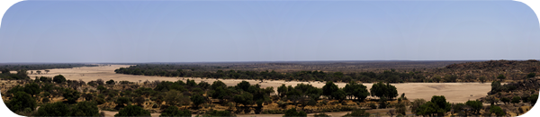 Mapungubwe National Park